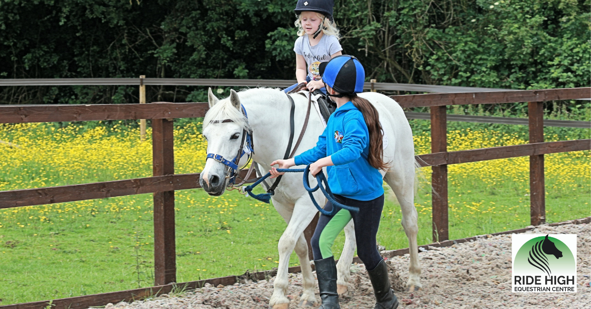 Helper Training Morning – ridehighequestriancentre