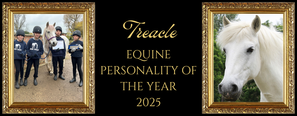 Treacle wins BHS Equine Personality of the Year!