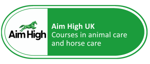 Link to the Aim High UK website