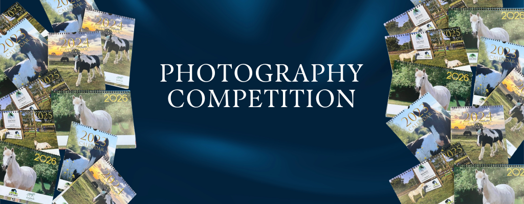 Photography Competition